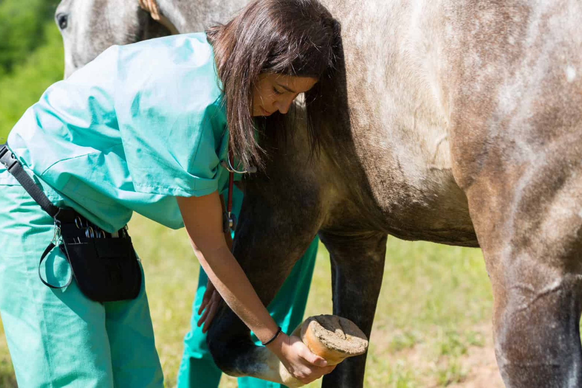 Untitled design (80)